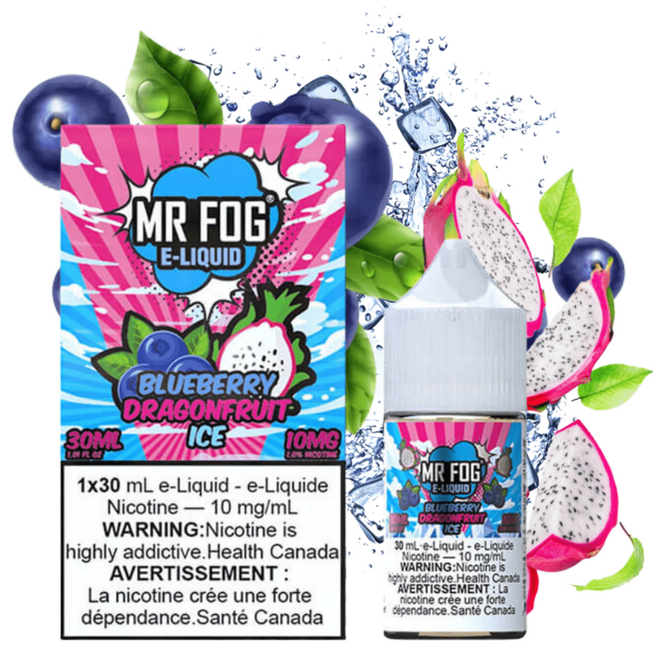 Mr. Fog Salt-Blueberry Dragonfruit Ice-30ml 30ml / 20mg Vapexcape Vape and Bong Shop Regina Saskatchewan